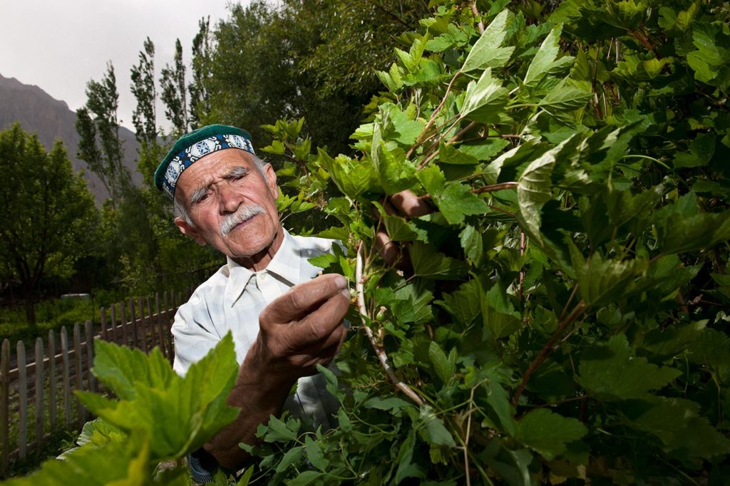 People and Plants - Nicolas Villaume - Conversations du Monde